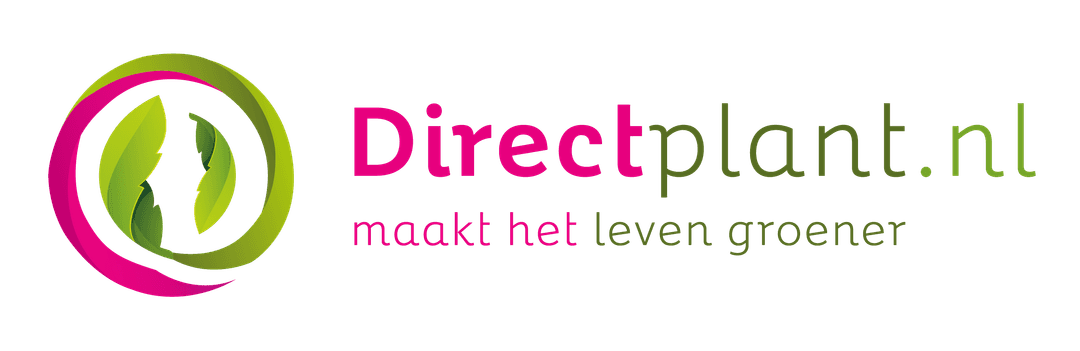 Directplant logo